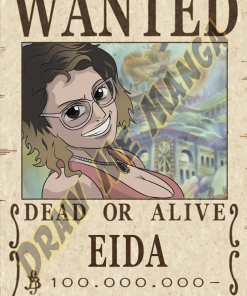 One Piece Wanted Poster